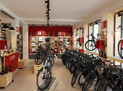 Intérieur magasin de vélos Paris 14